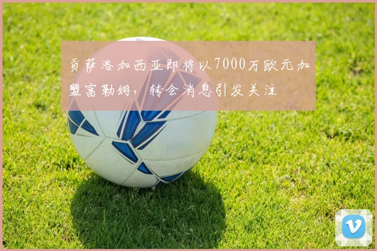 贡萨洛加西亚即将以7000万欧元加盟富勒姆，转会消息引发关注
